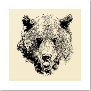 Bear portrait Posters and Art